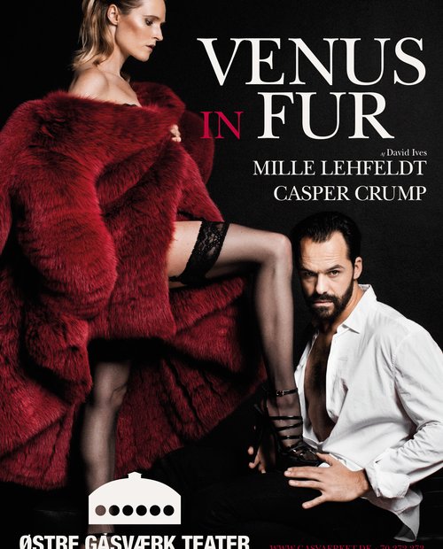 Images of Venus in Fur